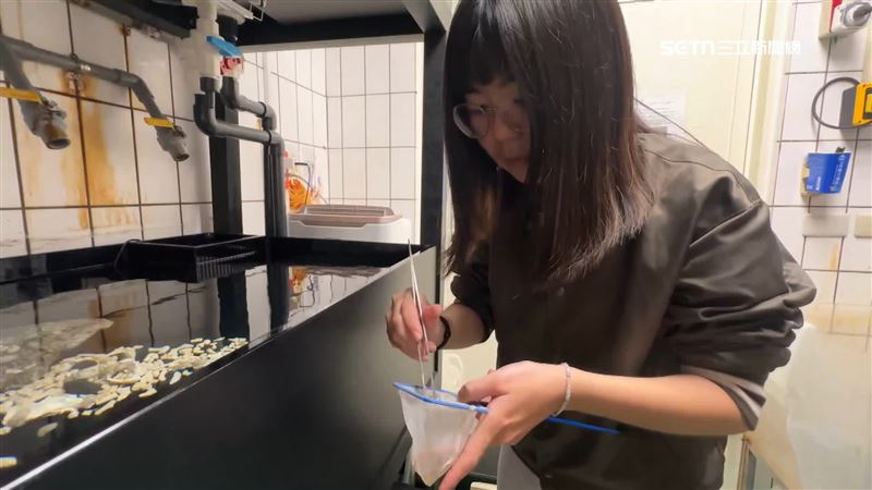 幫我餵！清大徵才吸睛 時薪190當烏賊保母