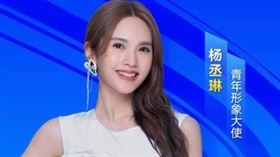 女星楊丞琳將參加中共在北京舉辦的2025年「兩岸青年峰會」，並擔任活動形象大使。