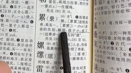 「小孩成累贅」字典例句爭議　出版商解釋