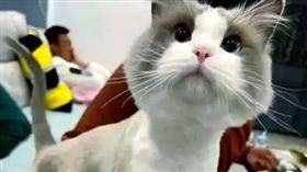 ▲（圖／翻攝自微博）