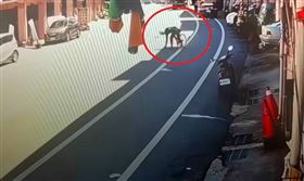 糊塗2寶單親爸弄丟4萬塊　急尋拾獲單車男(圖/翻攝畫面)