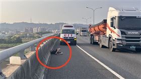 行經台74突身體不適！台中伯竟躺路肩休息