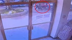 窮毒蟲落魄到要去跟8旬阿嬤搶包包，行為十分可惡。（圖／翻攝畫面）