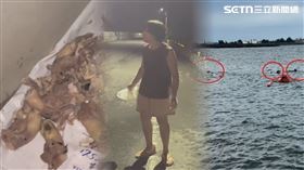 動保處,高雄,澎湖,永安區,愛媽,雞頭,流浪狗,里長,女兒,泳客,魚塭,身障