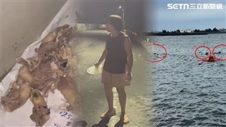 愛媽「撒死雞頭」3犬撕咬翁屍…留身障女