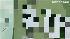 找到了！黃金詐騙害5命 女同學美容室曝光(圖/翻攝畫面)