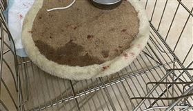 呂男踹貓籠。（圖／翻攝畫面）