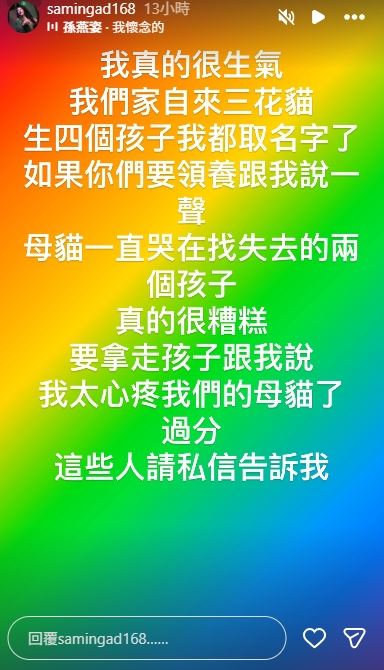 紀曉君貓咪被偷。（圖／翻攝自紀曉君IG）