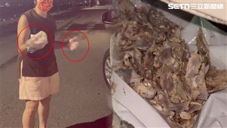 海裡被狗咬死！愛媽喊一句…里長：配獵槍