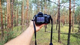 森林,攝影。（示意圖／PIXABAY）