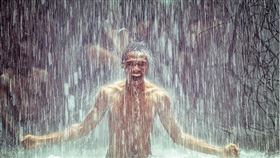 ▲三伏天最適合用來補陽祛寒、逆轉體質。（圖／翻攝自Pixabay）