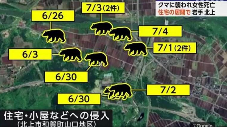 熊出沒一個月10起！81歲日婦也疑遭熊擊