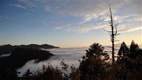 阿里山雲海
（圖／林鐵及文資處提供）