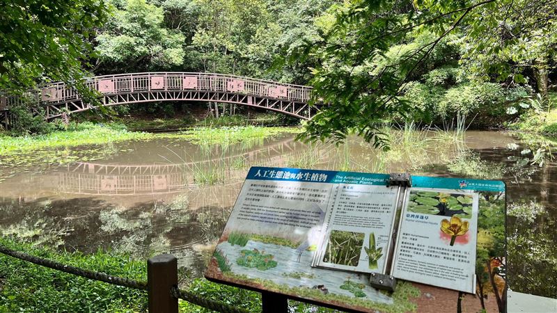 颱風逼近　合歡山、奧萬大等處預警休園