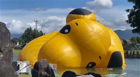 ▲颱風外圍風勢強勁，童玩節「史努比鴨」緊急放氣，暫時趴伏水面避風險。（圖／三立新聞台提供）