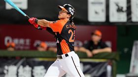 ▲統一獅陳傑憲。（圖／統一獅提供）