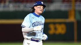 ▲富邦悍將張育成。（圖／富邦悍將提供） 