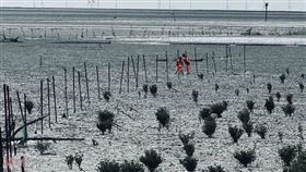 施姓老翁3日出門採蚵失聯，家屬焦急報警。（圖／翻攝畫面）