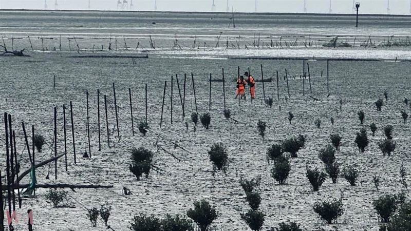彰化翁採蚵失蹤3天！搜救隊泥灘尋獲遺體