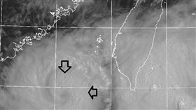 丹娜絲準備開眼。（圖／翻攝自鄭明典臉書）