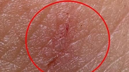 罷免林沛祥!罷團:領銜人發扇子竟遭攻擊