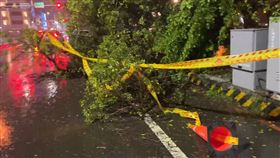 丹娜絲颱風,台南市,路樹倒塌