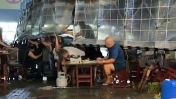 颱風夜照吃不誤！阿伯肩扛棚架就為這一碗