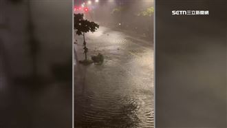 台南安平運河滿出　水淹路面