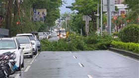 丹娜絲颱風,嘉義地區,強風,風災