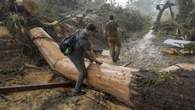 ▲志工們沿著瓜達魯普河沿岸搜尋失蹤者。（圖／美聯社／達志影像）