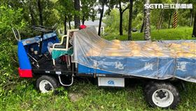 台南,楠西,玉井,果農,椰子樹