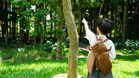 雄獅文具想像力製造所打造今夏最夢幻的昆蟲冒險（業配勿用）