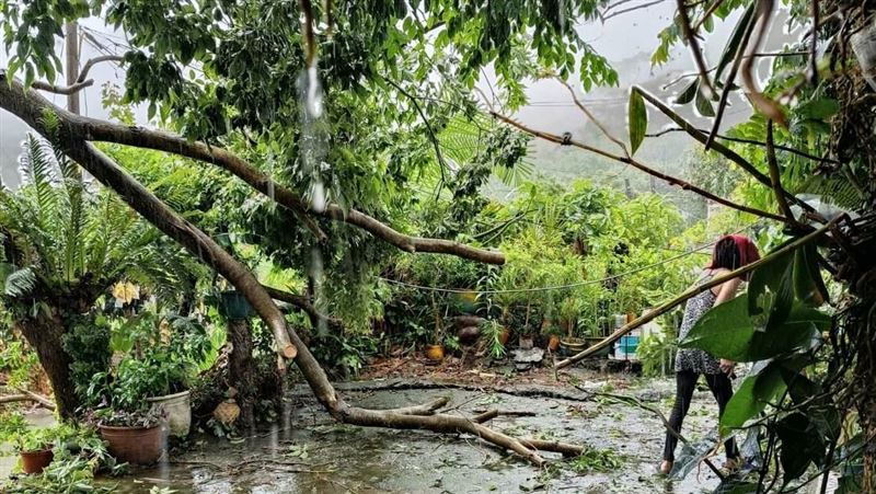 丹娜絲釀災！高雄桃源區3里週二停班停課