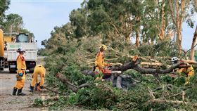 陳其邁,黃敏惠,翁章梁,山陀兒,高雄,嘉義,颱風,市長,丹娜絲,災情