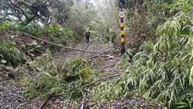丹娜絲颱風,阿里山森林鐵路,阿里山風管處