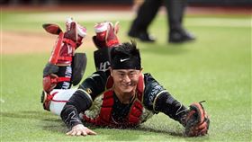 ▲味全龍蔣少宏。（圖／味全龍提供） 