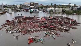 價值千萬！南鯤鯓檜木牌樓倒　民眾撿回家