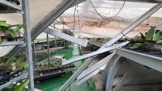 台南破萬戶屋頂掀飛 市府僅找到9家廠商
