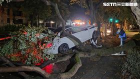 台北市,警方,草叢,事故,車禍,台北,信義區,賓士,梅賽德斯-AMG,轎車,死亡▲圖片描述。（圖／翻攝畫面）