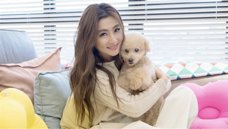 女星愛犬走紅毯　蝴蝶結白紗裝扮萌翻賓客