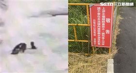 新北市,新店區,警義,消防員,水流,告示,水壩,立槳,殉職,戲水▲圖片描述。（圖／翻攝畫面）