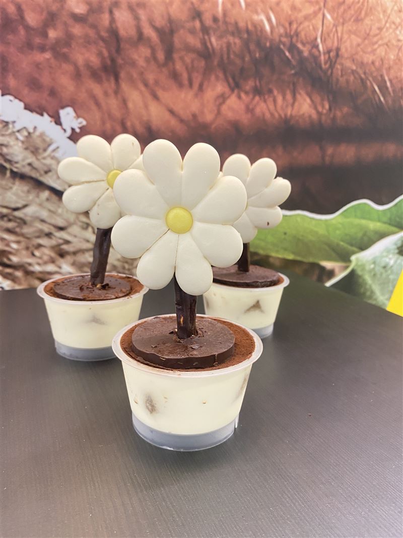 IKEA台北城市店限量開賣雛菊造型的「小花蛋糕」。（圖／IKEA 提供）