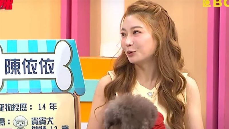 依依愛犬心臟出問題　13年驚人醫藥費曝光