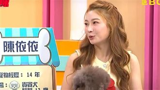 依依愛犬心臟出問題　13年驚人醫藥費曝光