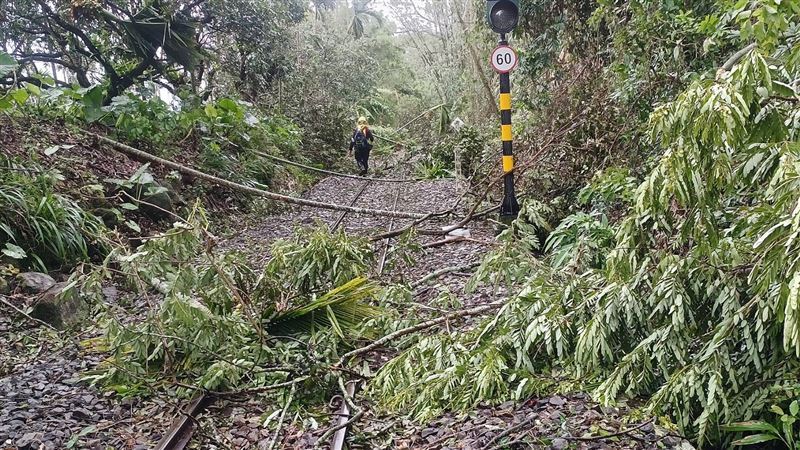 嘉義阿里山部落缺電4天，在家洗腎長輩沒電恐有生命危險，急等恢復供電。（圖／嘉義林務局提供）