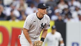 ▲洋基釋出2屆打擊王拉梅修（DJ LeMahieu）。（圖／美聯社／達志影像）