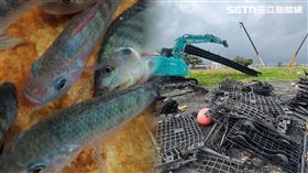 佳冬,枋寮,屏東,嘉義縣,布袋鎮,浮台,光電板,殘骸,沙灘,能源署,養殖魚,颱風,丹娜絲