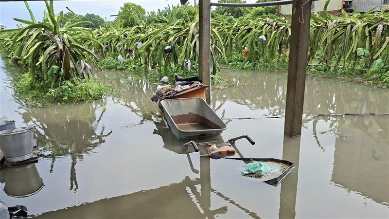 彰化冠軍火龍果田全泡湯！一夜蒸發百萬元