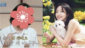 Hani。（圖／翻攝自IG、韓網）