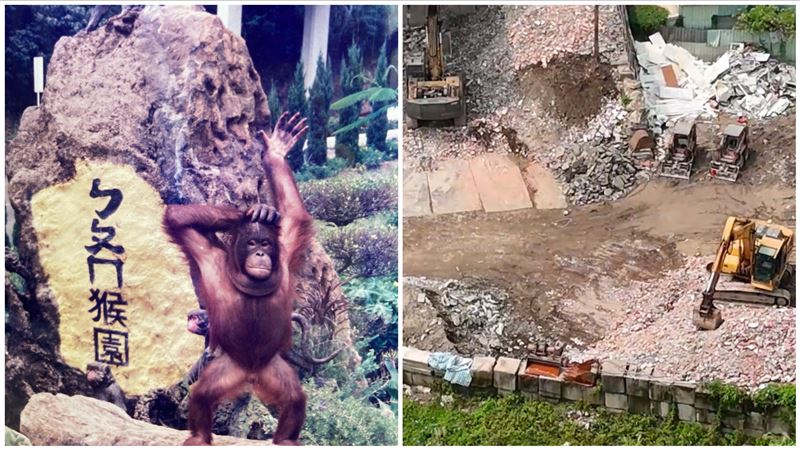 「ㄅㄆㄇ猴園」停業20年　慘淪非法掩埋場